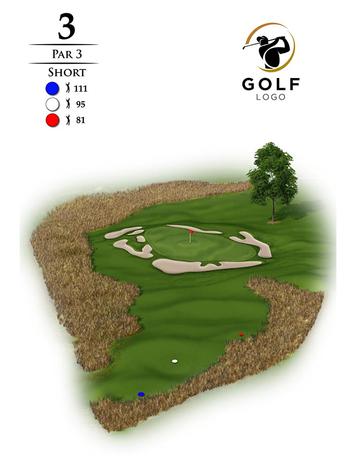 Golf 3D Visualization